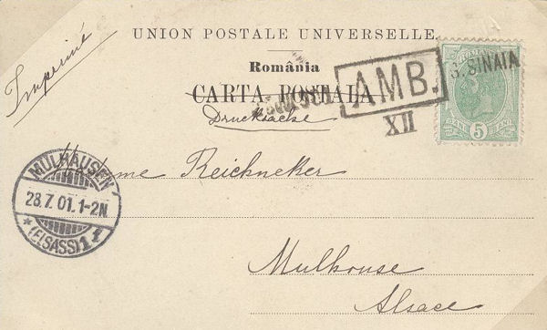 AMB. XII  G. Sinaia